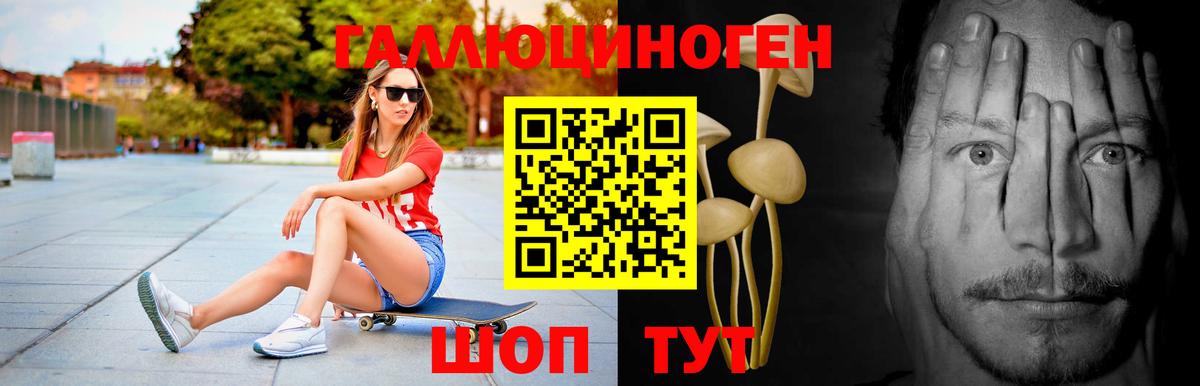 Псилоцибиновые грибы мицелий Химки
